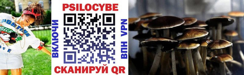 Галлюциногенные грибы Psilocybe  наркота  Бугульма 