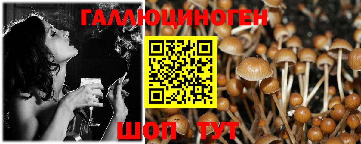 Галлюциногенные грибы Cubensis Бугульма