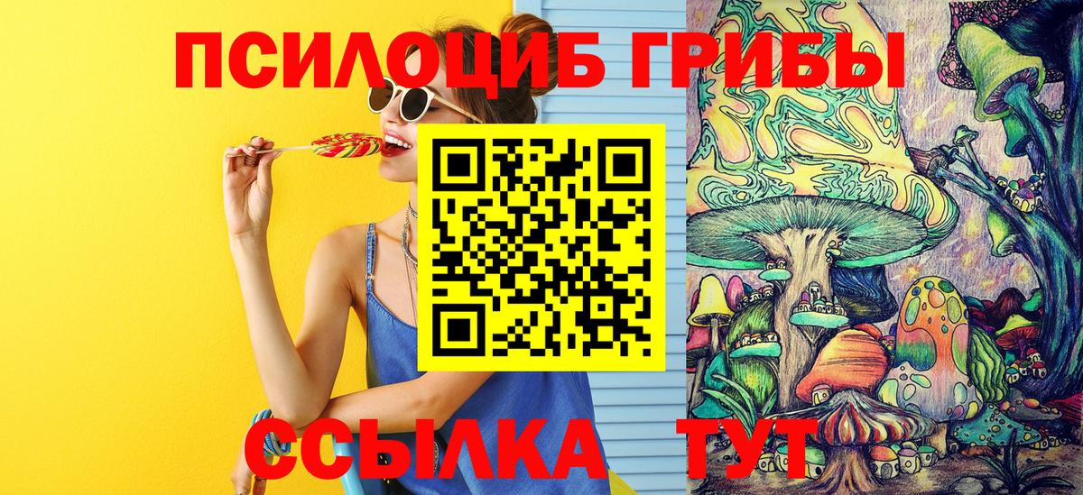 Псилоцибиновые грибы Psilocybine cubensis  Вход с VPN  Галлюциногенные грибы Psilocybe  Бугульма 